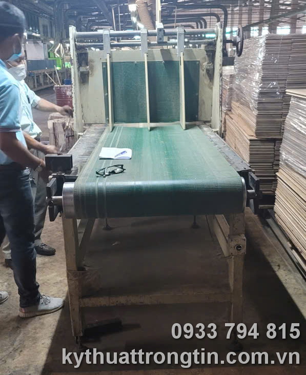 Chế tạo băng tải ngành gỗ