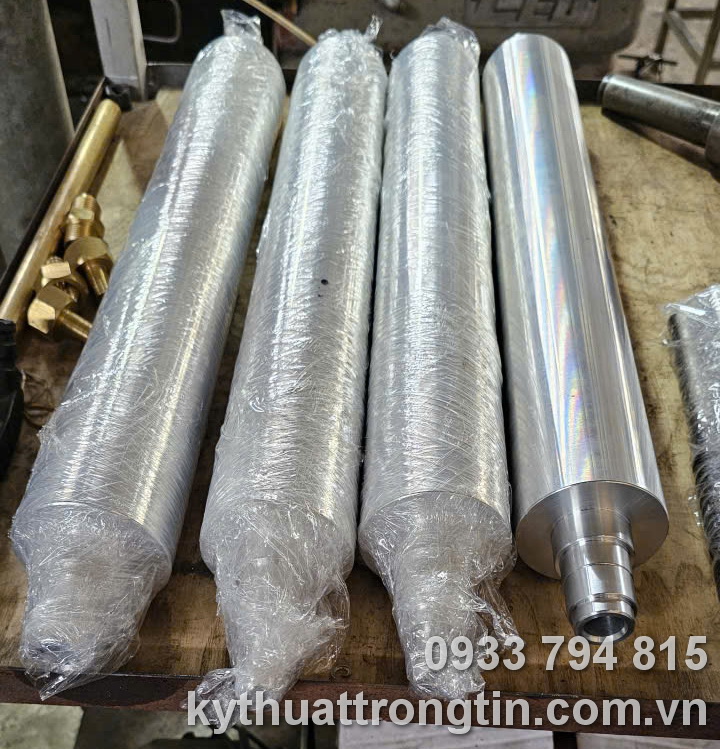Trục in